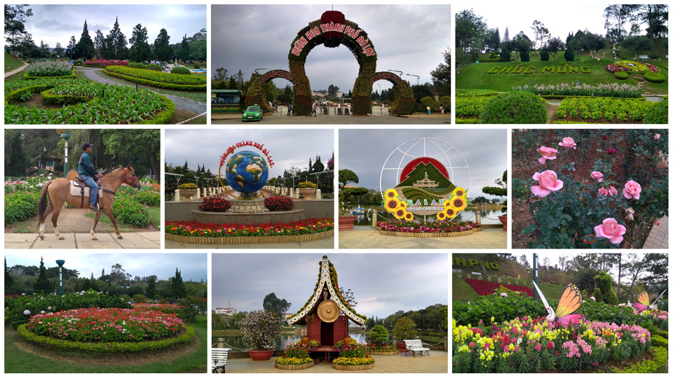 Image of flower park
